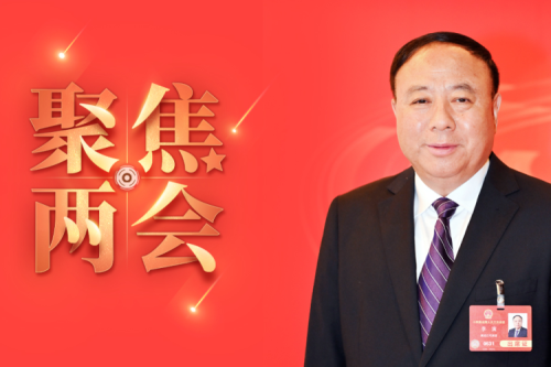 全國人大代表李寅2025年建議之四--盡快解決農林生物質發電可再生能源電價附加補助拖欠問題，化解行業經營風險的建議